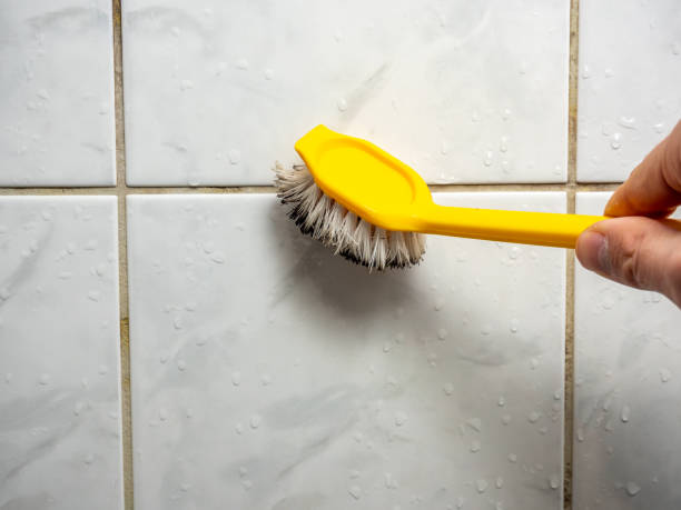 Best Certified Mold Removal  in Butler, PA