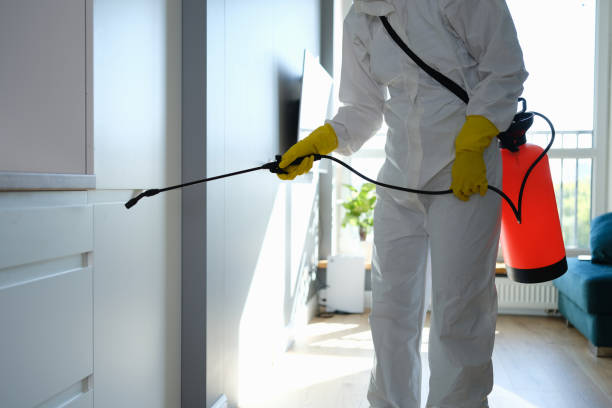 Certified Mold Removal in Butler, PA